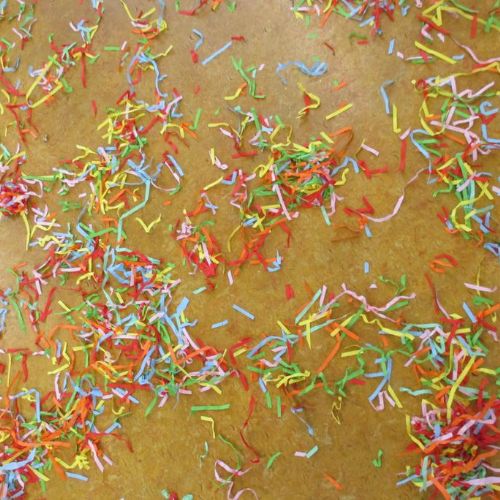 Celebrating Holi